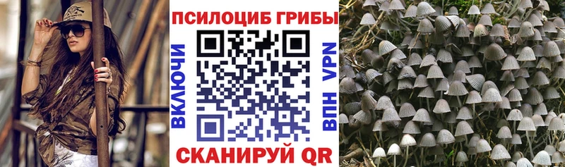 Галлюциногенные грибы ЛСД  Купить  Судак 