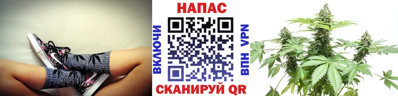 Каннабис семена  Купить где  Судак 